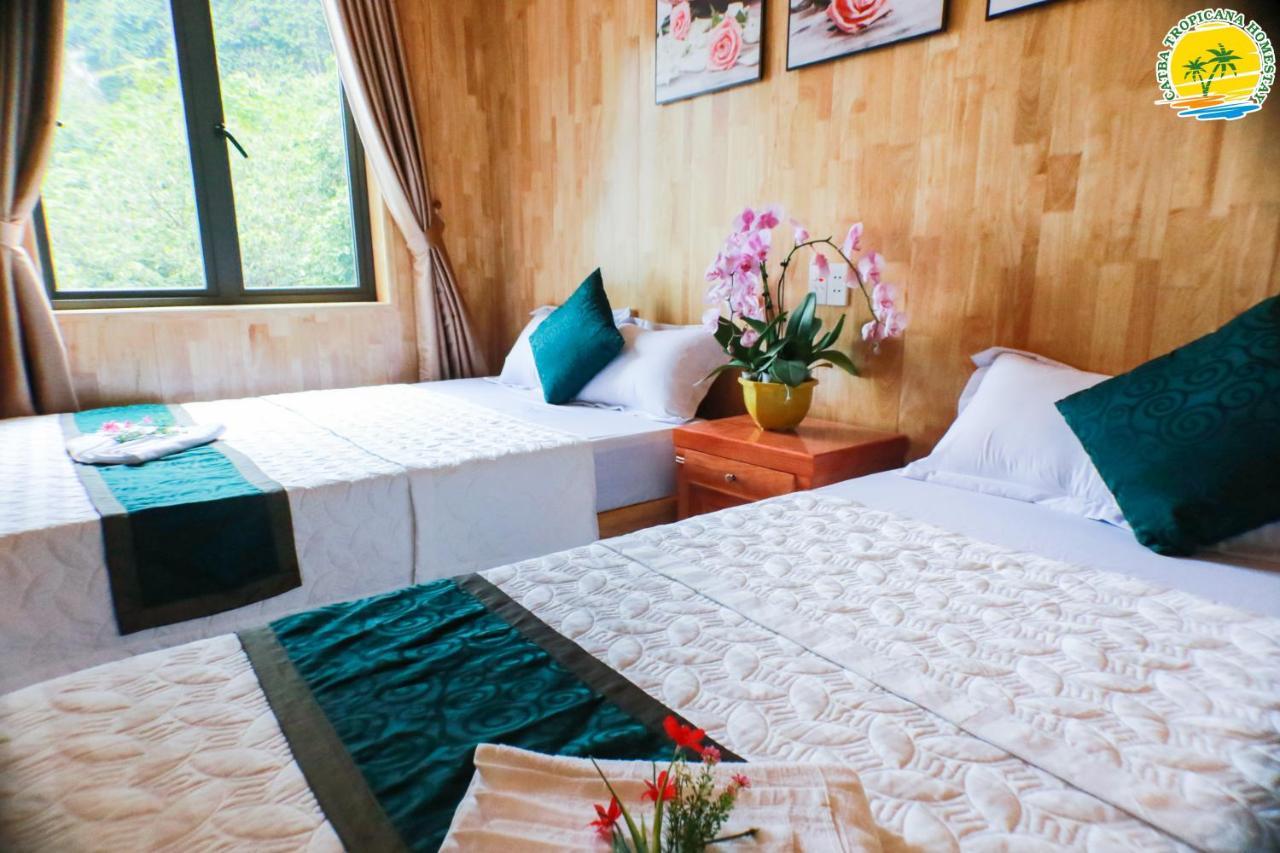 Cat Ba Tropicana Homestay Cat Ba Island Esterno foto