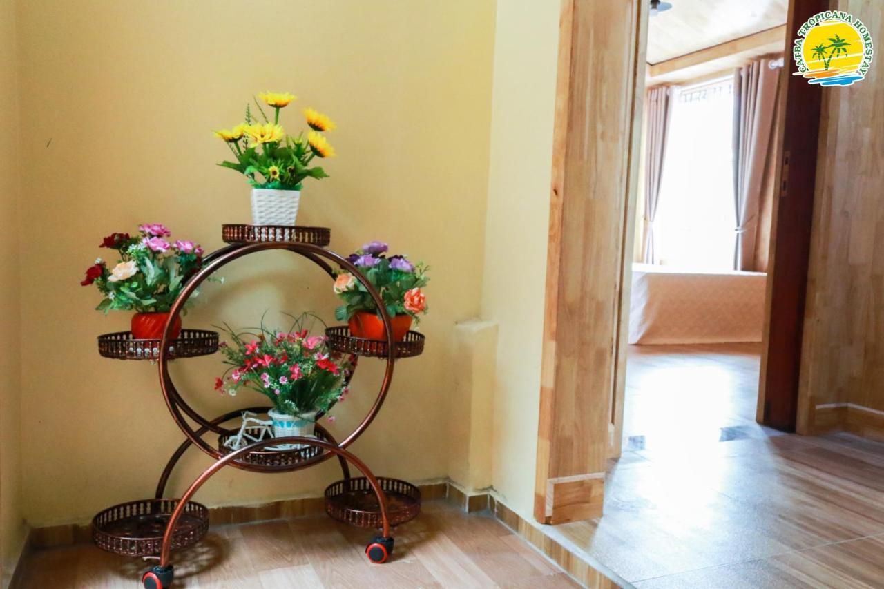 Cat Ba Tropicana Homestay Cat Ba Island Esterno foto