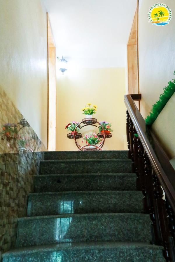 Cat Ba Tropicana Homestay Cat Ba Island Esterno foto